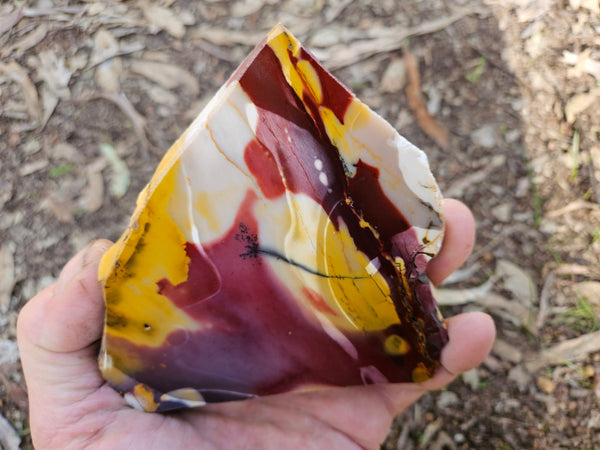 Polished  Mookaite slab MK547