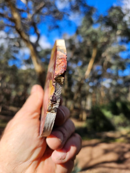 Polished  Mookaite slab MK548