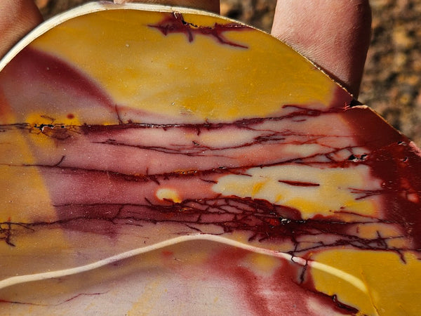 Polished  Mookaite slab MK548
