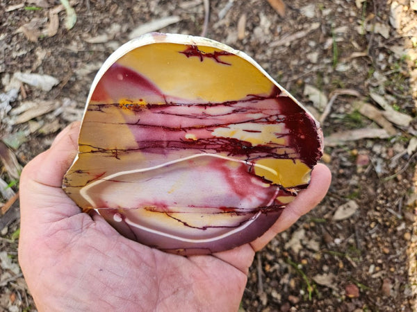 Polished  Mookaite slab MK548