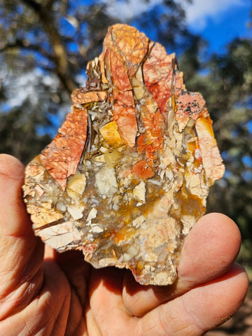 Polished Brecciated Mookaite slab BM333