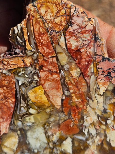 Polished Brecciated Mookaite slab BM333