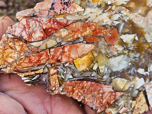 Polished Brecciated Mookaite slab BM333