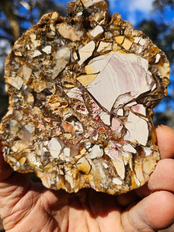Polished Brecciated Mookaite slab BM334