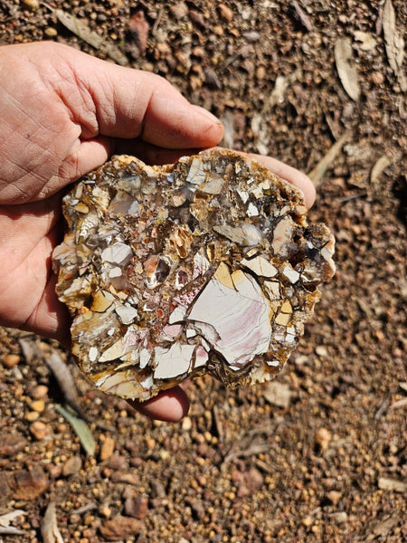 Polished Brecciated Mookaite slab BM334
