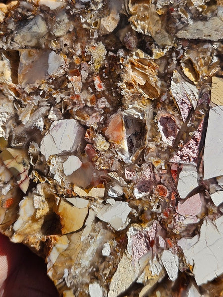 Polished Brecciated Mookaite slab BM334