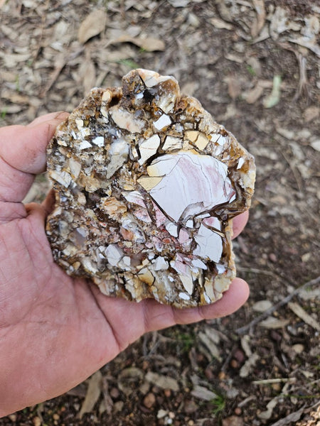 Polished Brecciated Mookaite slab BM334