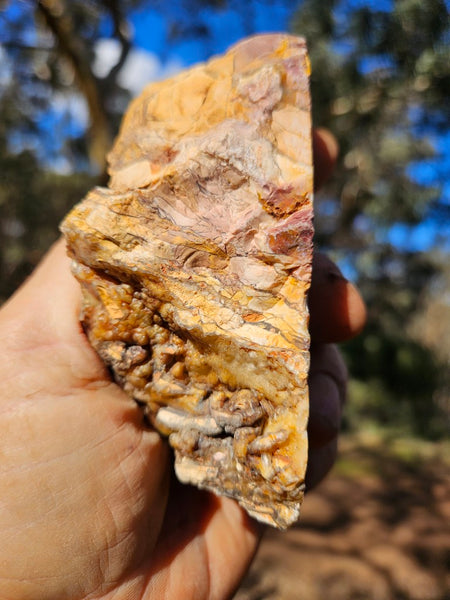 Polished Brecciated Mookaite rock BM332