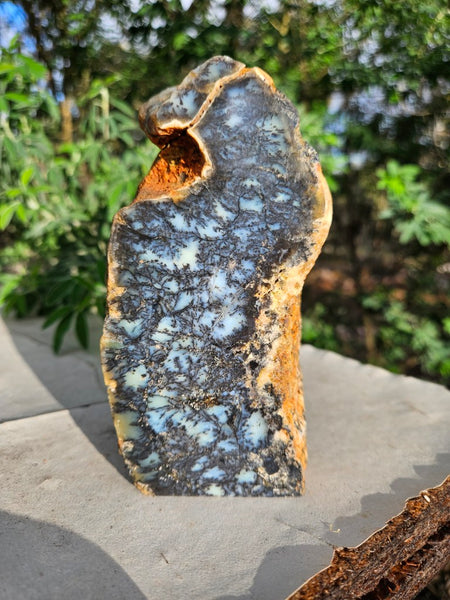 Polished Dendritic Opal DO221