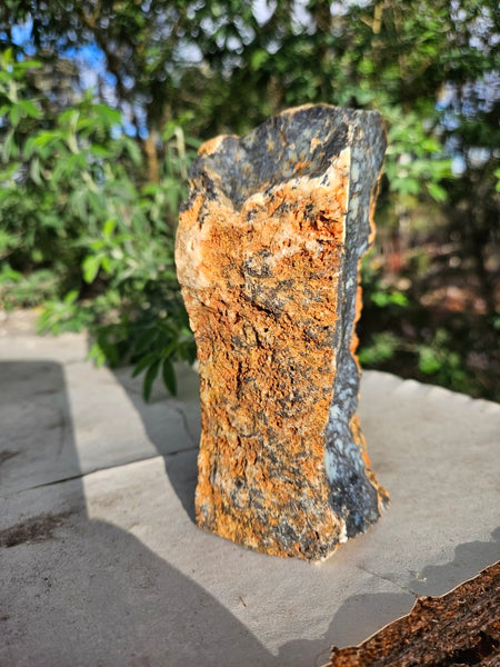Polished Dendritic Opal DO221