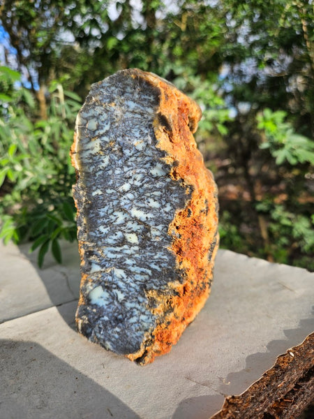 Polished Dendritic Opal DO221