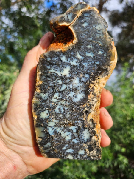 Polished Dendritic Opal DO221