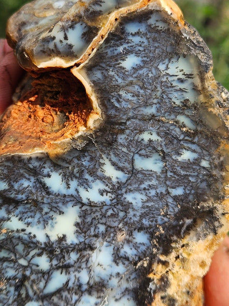Polished Dendritic Opal DO221