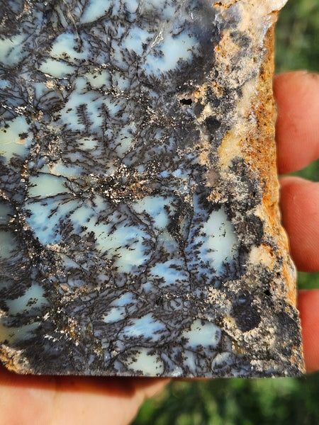Polished Dendritic Opal DO221