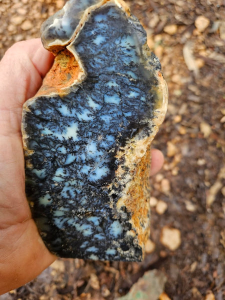 Polished Dendritic Opal DO221