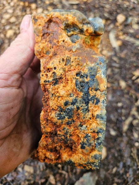 Polished Dendritic Opal DO221