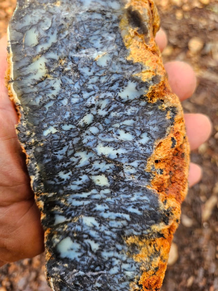 Polished Dendritic Opal DO221