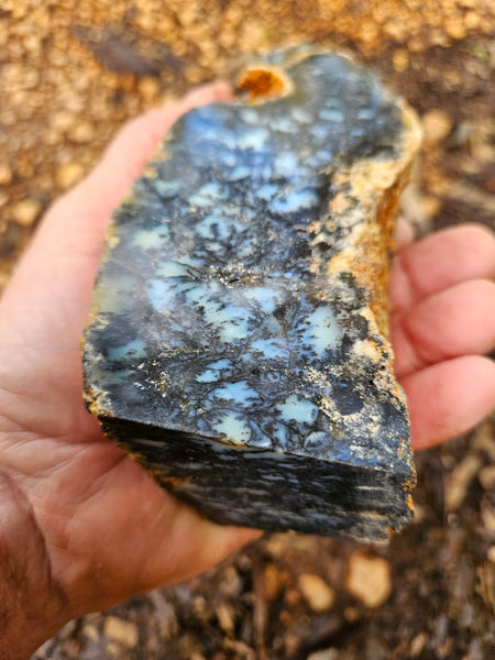 Polished Dendritic Opal DO221