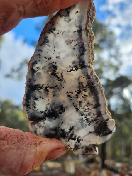 Polished Dendritic Opal slab DO222