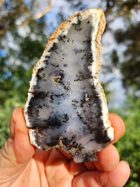 Polished Dendritic Opal slab DO222