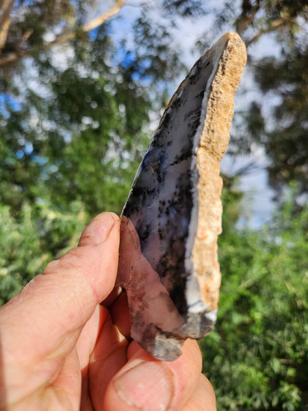 Polished Dendritic Opal slab DO222