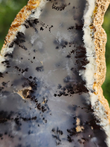 Polished Dendritic Opal slab DO222
