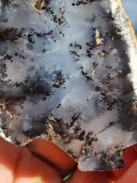 Polished Dendritic Opal slab DO222