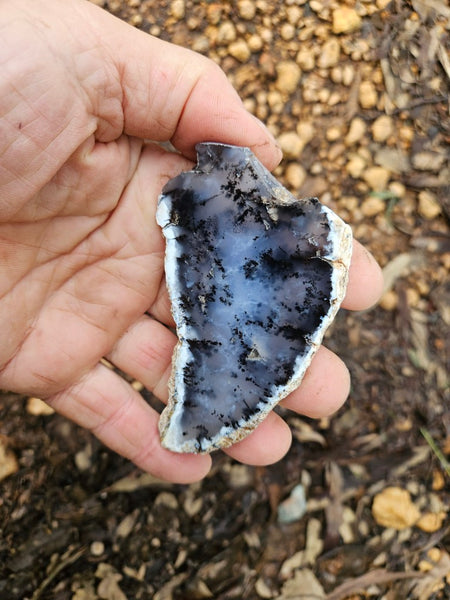 Polished Dendritic Opal slab DO222