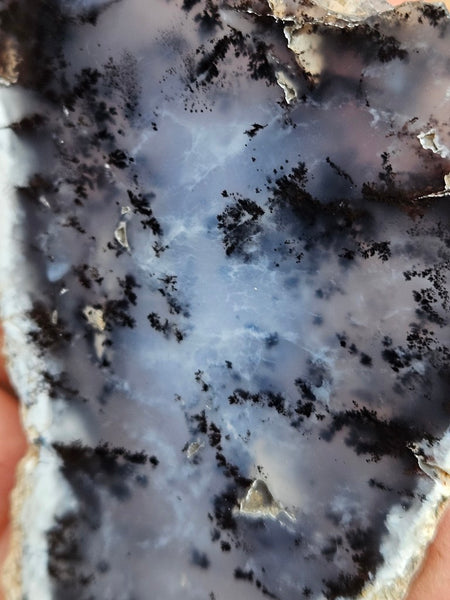 Polished Dendritic Opal slab DO222