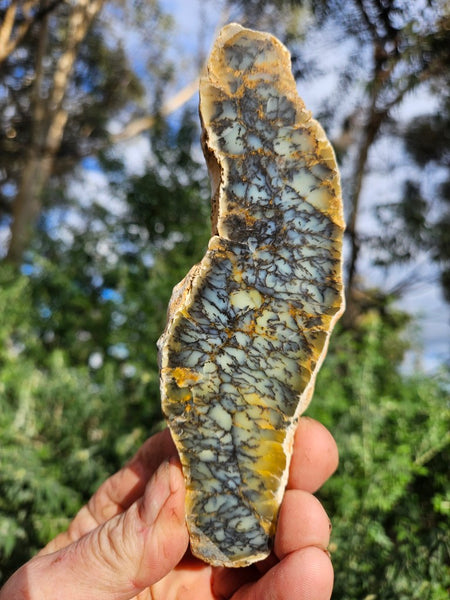 Polished Dendritic Opal slab DO223