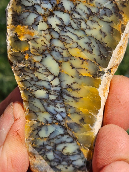 Polished Dendritic Opal slab DO223