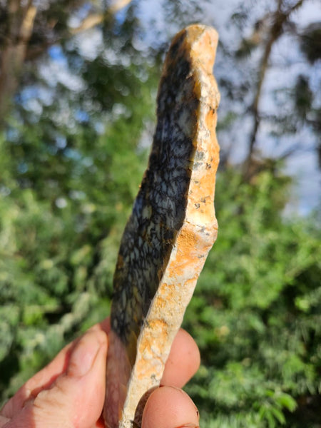 Polished Dendritic Opal slab DO223