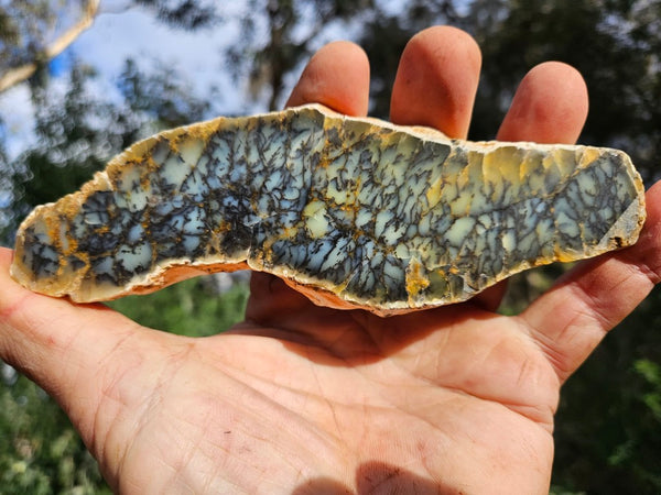 Polished Dendritic Opal slab DO223
