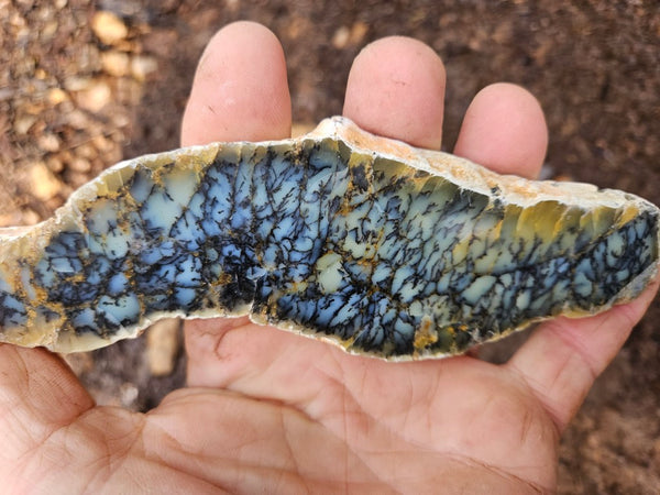 Polished Dendritic Opal slab DO223