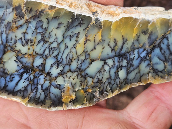 Polished Dendritic Opal slab DO223