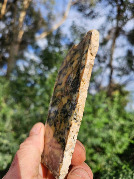 Polished Dendritic Opal slab DO224