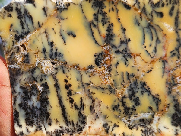 Polished Dendritic Opal slab DO224