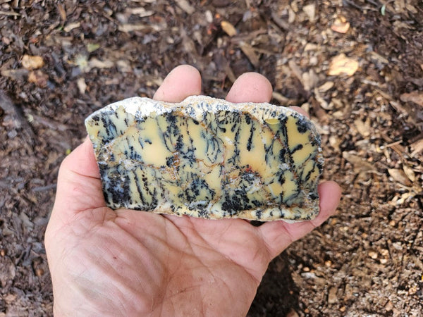 Polished Dendritic Opal slab DO224