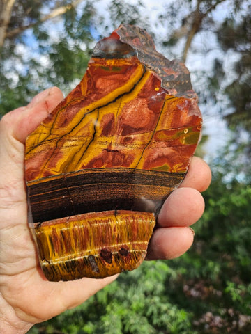 Polished Tiger Eye slab TE472