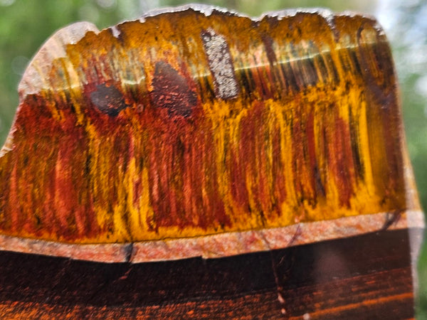 Polished Tiger Eye slab TE472