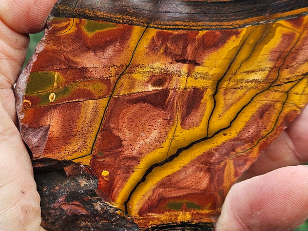 Polished Tiger Eye slab TE472