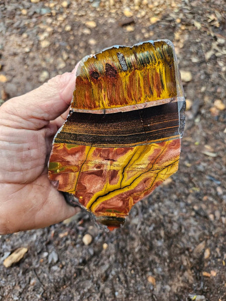 Polished Tiger Eye slab TE472