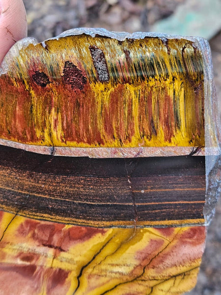 Polished Tiger Eye slab TE472