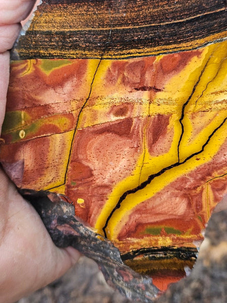 Polished Tiger Eye slab TE472
