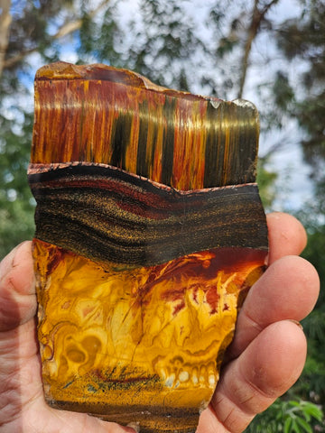 Polished Tiger Eye slab TE473
