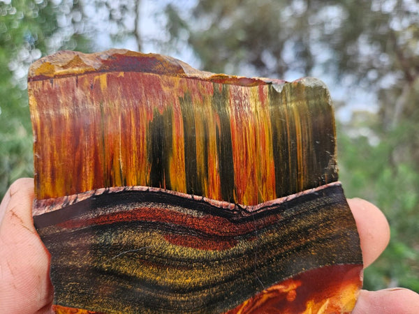 Polished Tiger Eye slab TE473