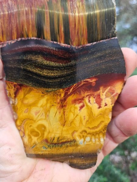 Polished Tiger Eye slab TE473