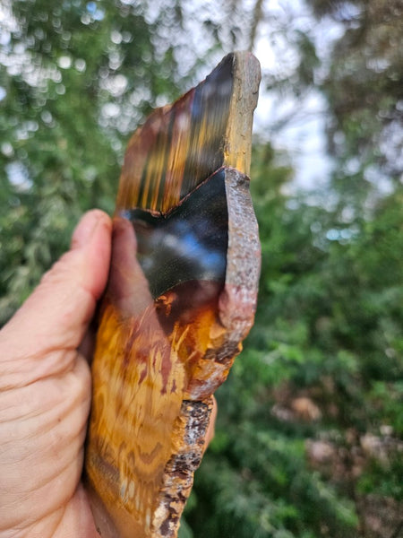 Polished Tiger Eye slab TE473