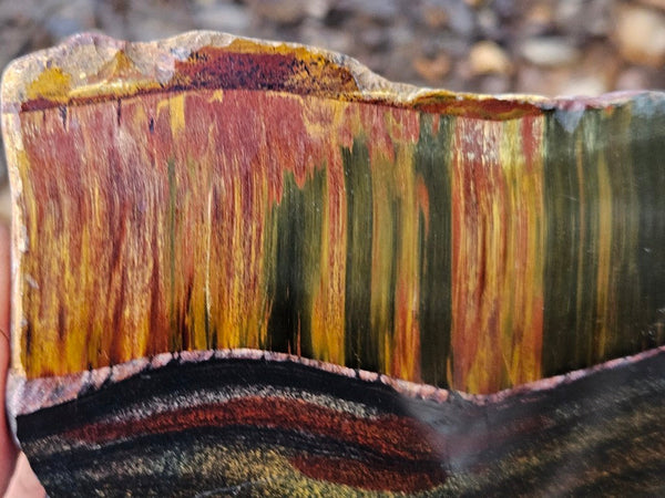Polished Tiger Eye slab TE473