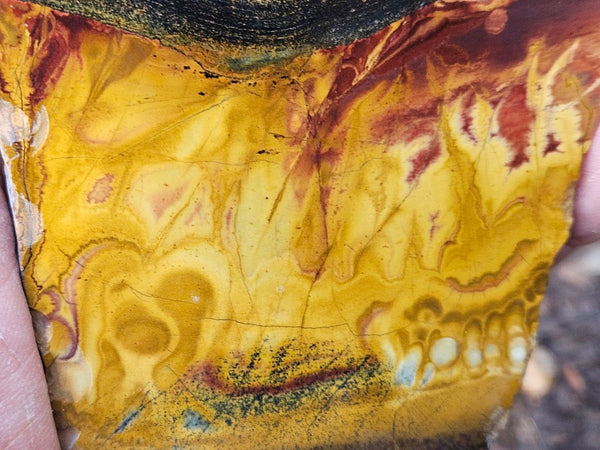 Polished Tiger Eye slab TE473
